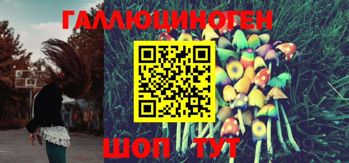 Орск  Галлюциногенные грибы Psilocybine cubensis  купить  цена  Псилоцибиновые грибы Psilocybine cubensis  Вход с VPN 
